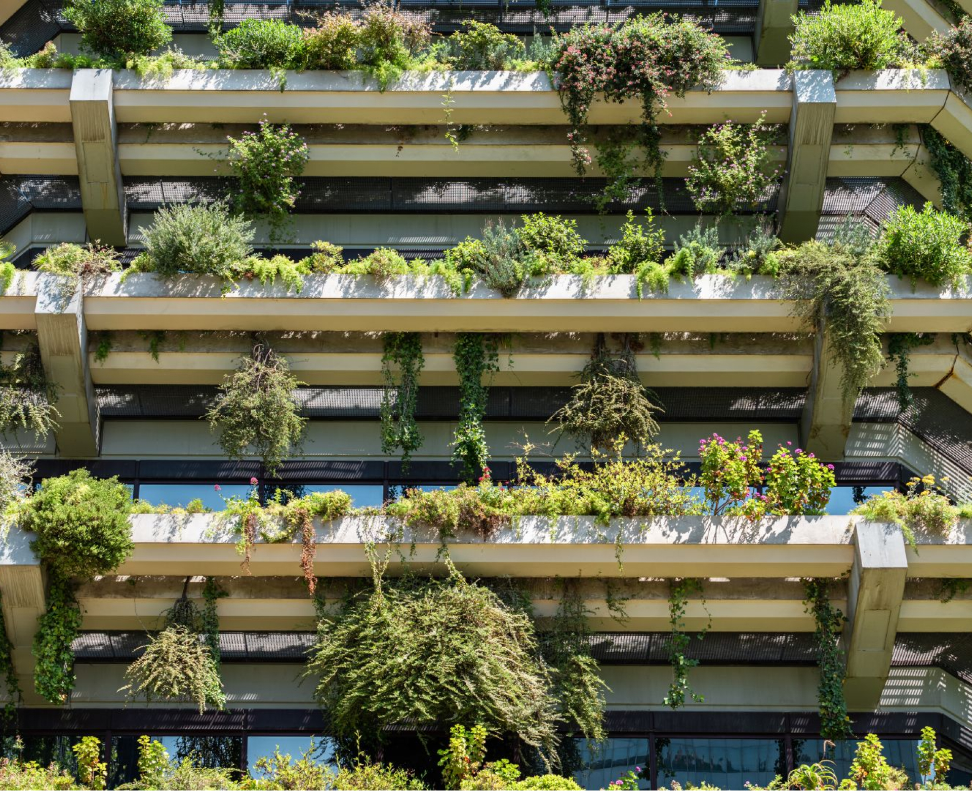 Analyse du Site et Études de Faisabilité