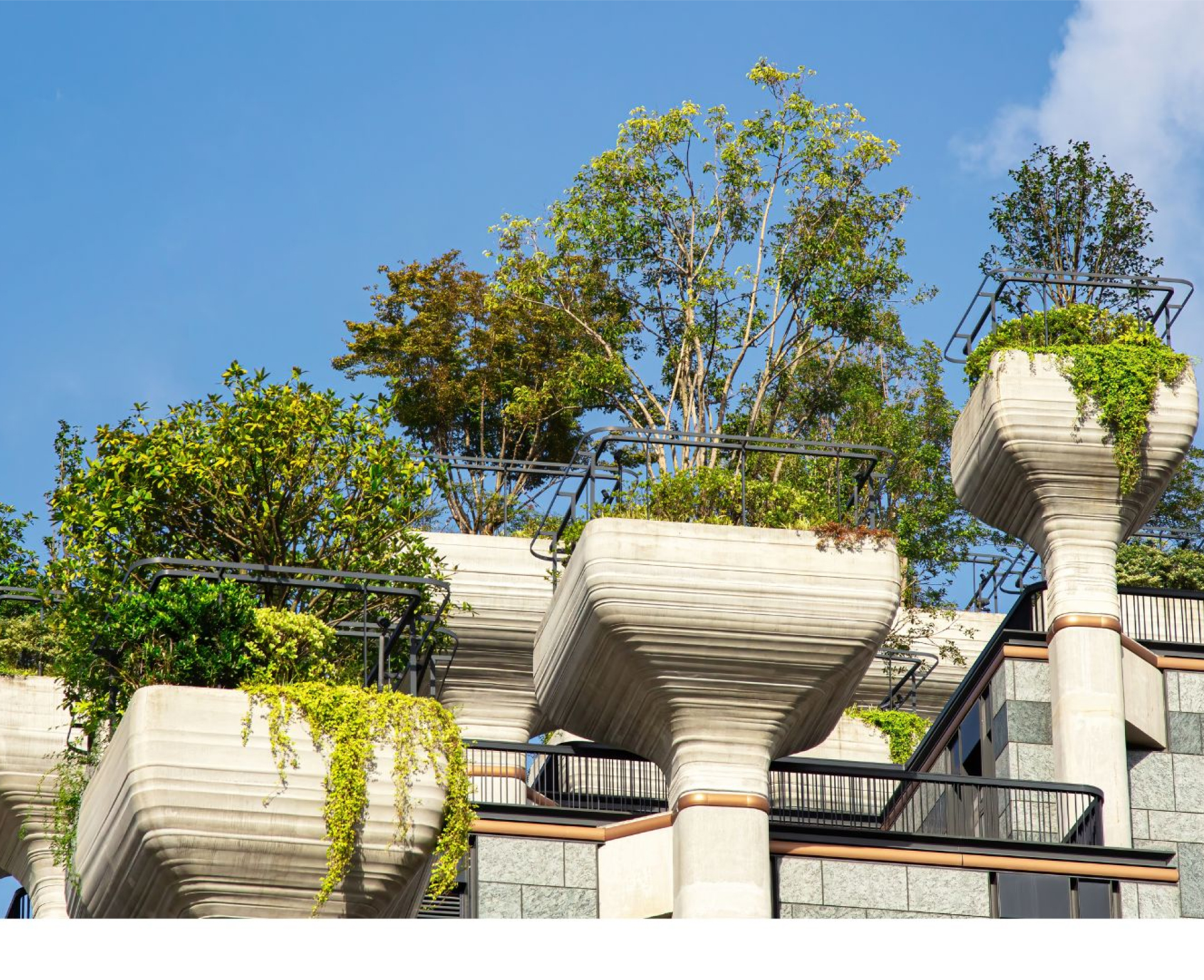 Conception Adaptée au Climat