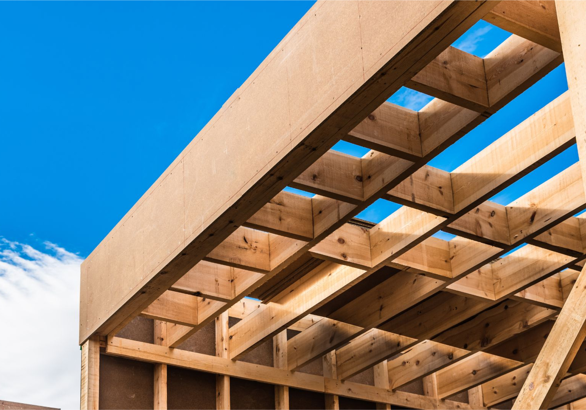 Réflexion sur le Cycle de Vie